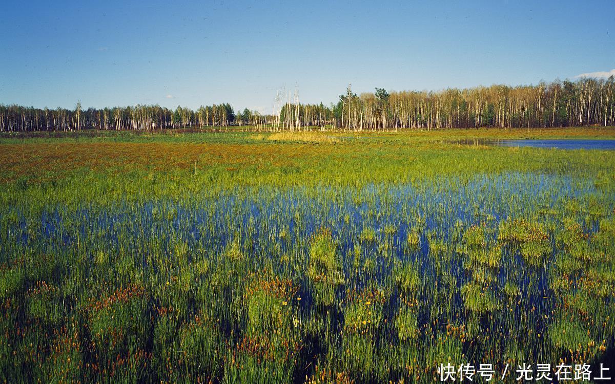  嫩江|映像中国—这里被称为“丹顶鹤之乡”，这里有众多湿地保护区景观