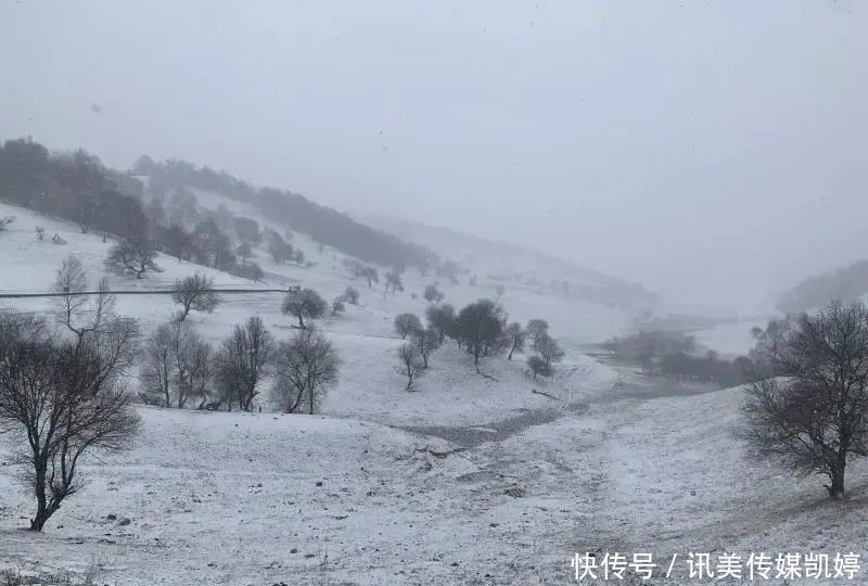  下雪|最新：这里下雪了！难怪安康这么冷的……