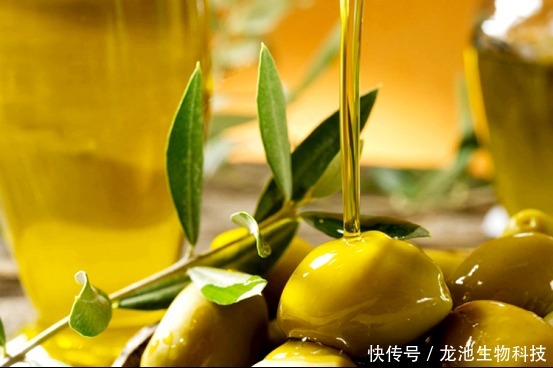  健康点评|大豆油、橄榄油、牡丹籽油...龙池牡丹带你开启吃油新方式