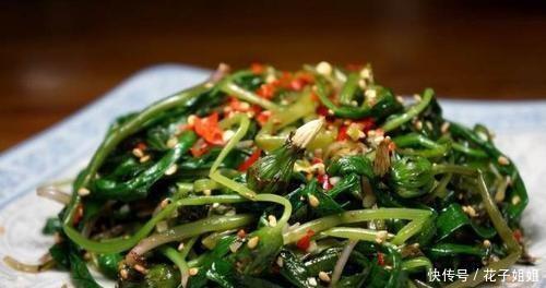 蒲公英|事实上蒲公英也可以吃，他仍然是绿色蔬菜前四名，很少有人知道却