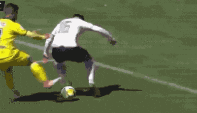 发现|搞笑GIF：发现一个很皮的大象