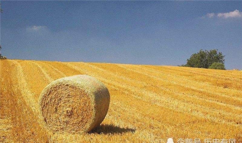 对比|用6个对比，让你清楚知道，明朝是如何被落后的欧洲逆袭反超的