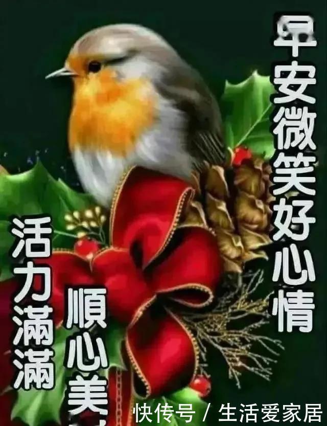 愿你|历经了风吹雨打,只盼在坎坷路上,能有一颗心相随,早安