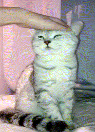 体验|搞笑GIF:小孩子,我想问问你此时蛋疼不疼呀?不亲自体验下哪里知道是啥快乐