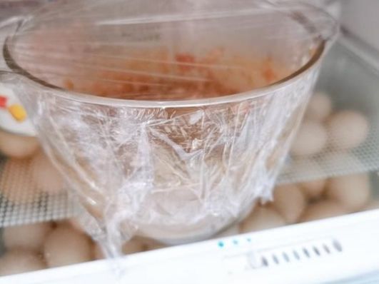  难怪|调饺子馅时，切记这2个要点，很多人不知道，难怪饺子不鲜也不香