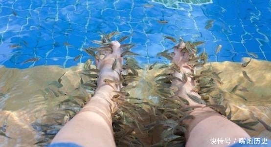 生意|“鱼疗”生意爆火,老板却因此有苦说不出,鱼儿:来生还做咸鱼