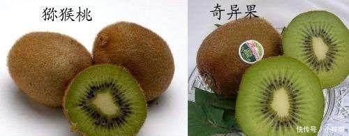 美食|美食界里的“双胞胎”, 即使是常吃的人, 也经常叫错名字闹出笑话