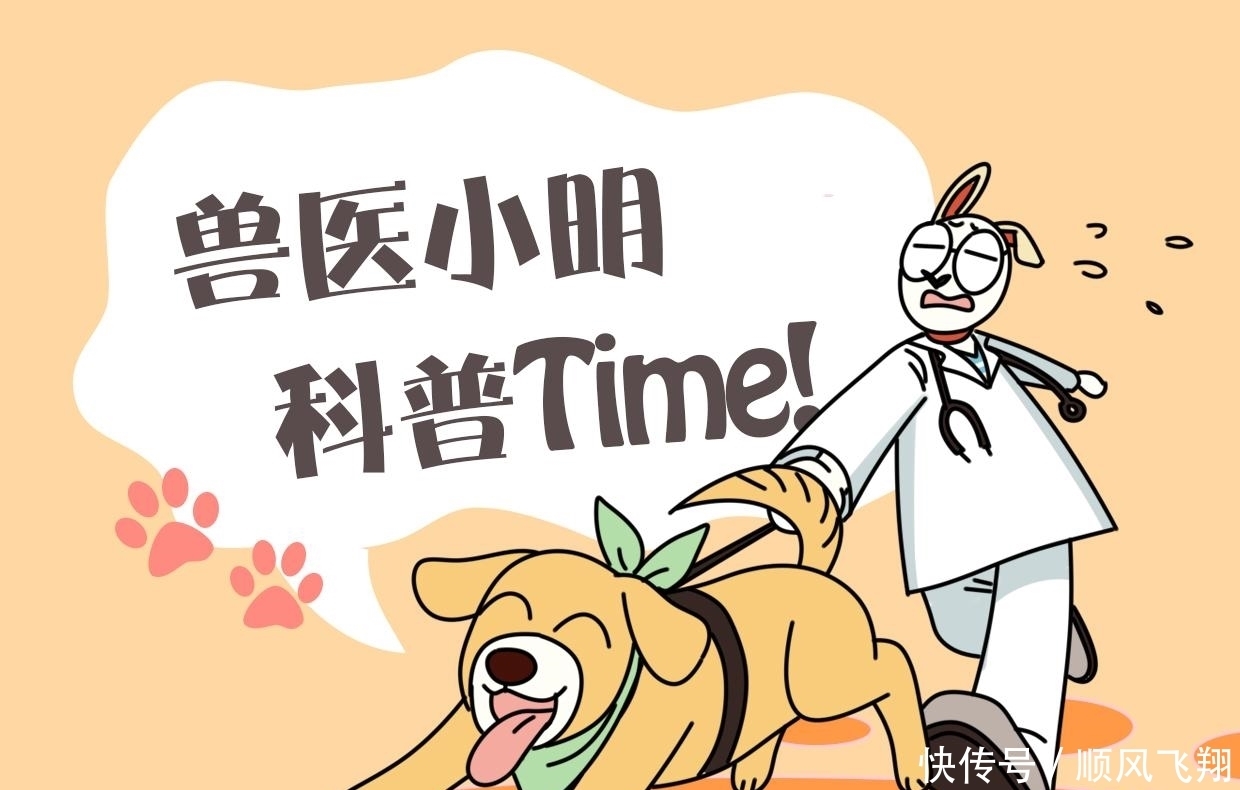 狗子|放宝宝和狗子单独在家,推开门一看不忍心打扰:太暖心了吧?