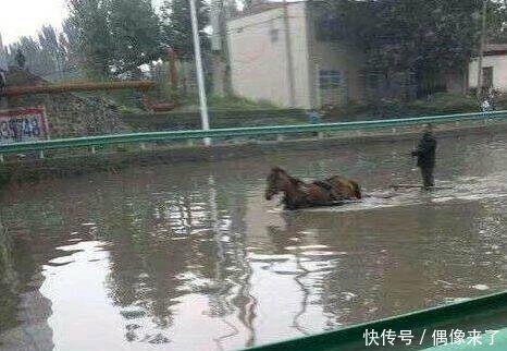 杀手|趣味图片幽默段子:是不是女神还得看脸,没准就是个背影杀手