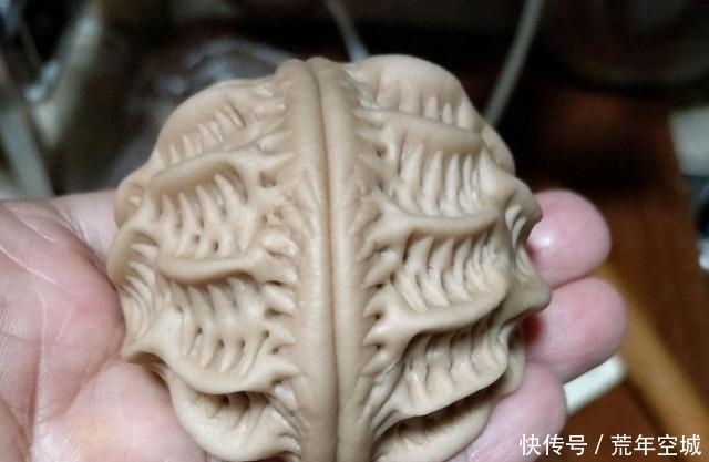 令人|独具风味的核桃面包,外观与口感都令人感叹,连吃5天都不够