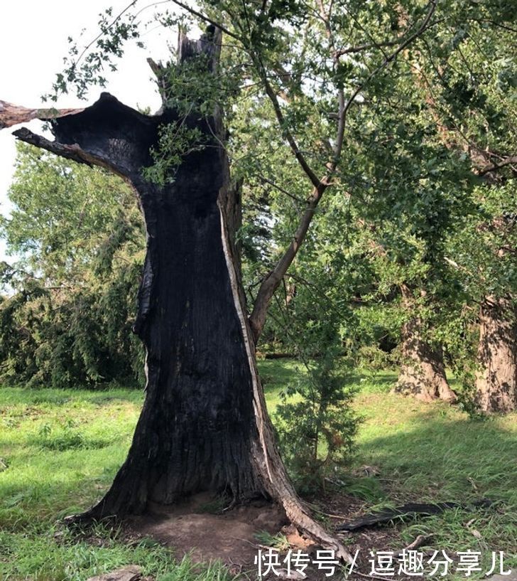 无所不能|那些人类遗忘的角落,大自然无所不能