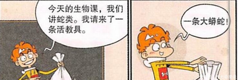  展开|阿衰漫画：阿衰为了“直播效果”，与蟒蛇展开了搏斗！