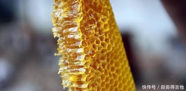 判断|如何判断蜂蜜是真是假如何鉴别蜂蜜的真伪