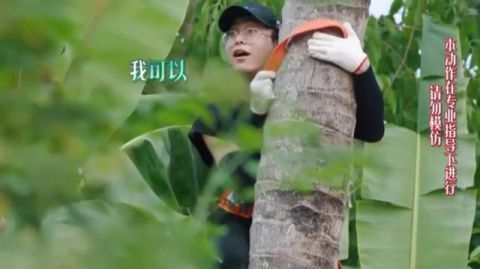  向往|《向往》中情商最低的嘉宾何炅和黄磊都带不动，大写的尴尬