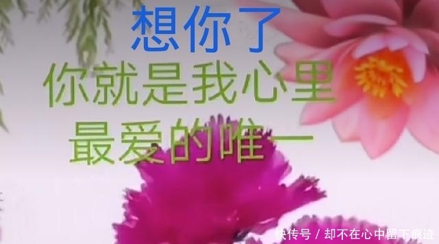  痴情|花开的声音，如痴情的思念，想你，痴痴的等待，永远不知疲倦