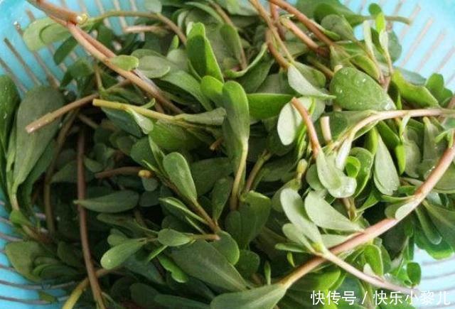  孕妈|怀孕期间，孕妈尽量少吃4物，可能会对胎儿造成伤害，别不在意