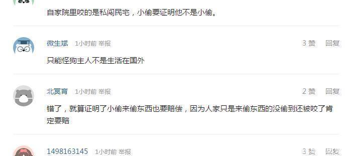  倒霉|小偷偷东西被狗咬, 住院花掉3万块, 谁来赔偿 狗主人要倒霉了!