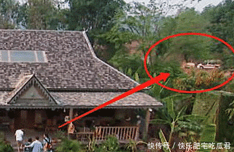  没想到|沙溢恐高不敢爬树，黄磊立马说有救护车，本以为是客气没想到是真的