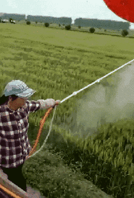  GIF|搞笑GIF：看到最后我就放心了！