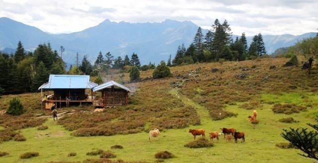 神山|无深度不云南——丽江巴拉神山徒步穿越攻略