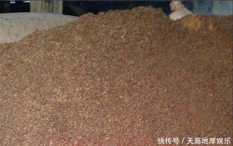 造假|茅台酒:5斤高粱产1斤酒被质疑造假?酒友:酒厂为何没有酒糟?