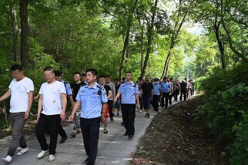 当场|躲进山林干这事无人机+100余名民警出动当场抓获42人