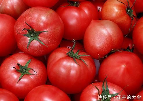底部是尖|购买西红柿时,牢记以下几点,可以帮你避开“激素西红柿”!