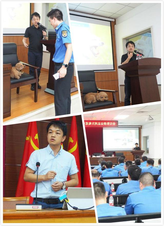  撕咬|不要随便摸狗！6岁男孩被恶犬撕咬，脸部严重破损缝90针