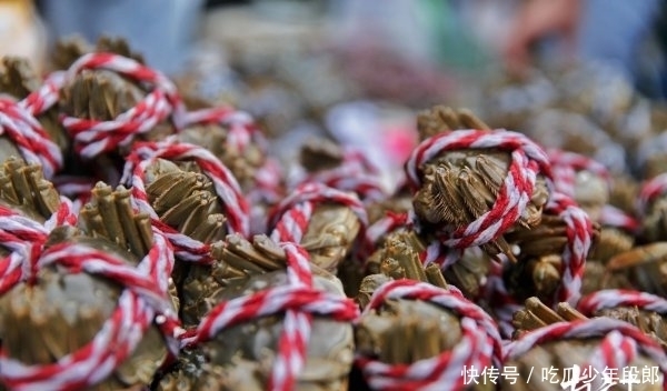 老广|图集 欢度中秋除了月饼还有啥好吃的?老广笑了!