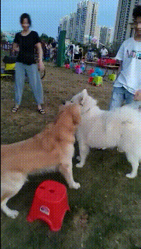  搞笑|搞笑GIF：护士姐姐你下手轻点，我怕疼