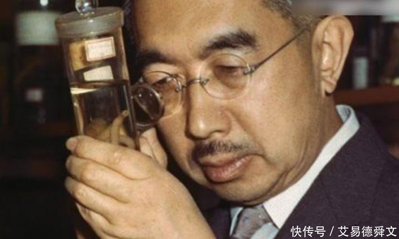 民众|裕仁首次出国访问欧洲,在此国遭到民众袭击,有人介意降半旗迎接