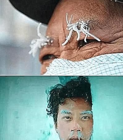 乌龟|东北究竟有多冷芦荟胶成渣,泡面特效都没啥,看到乌龟笑趴了