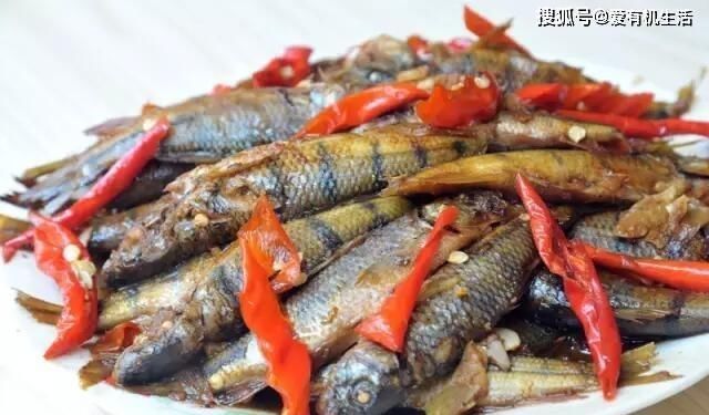 红烧|农村这种鱼，一般生长在水流清澈的小溪里，咬钩凶猛，红烧之后鲜香不腥