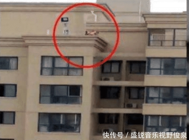 受不了|女子晒衣服,无意拍到“对面楼顶”照片,照片放大后心脏受不了