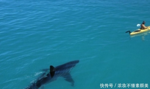 照片|这些照片真的没有经过任何PS处理,每一张都让人腿软!