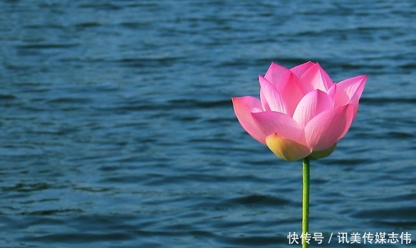 有福禄|2020年,孩子是以下生肖的,命中注定有福禄,财神庇佑!