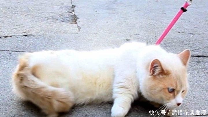 时不时|开心一刻:有一同事挺有钱,时不时就有人问他借一点应急什么的