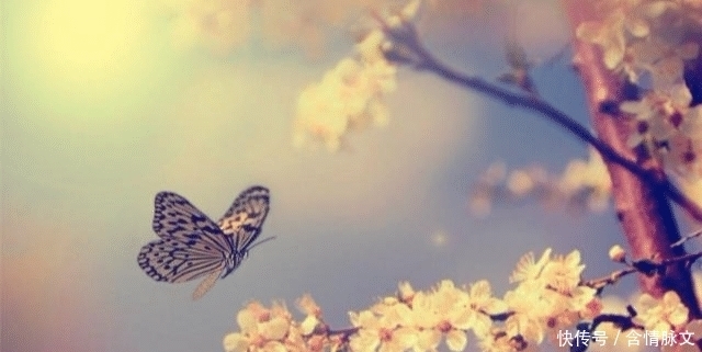  夸妻|纳兰性德最肉麻的一首词，开篇7个字惊艳世人，堪称夸妻典范