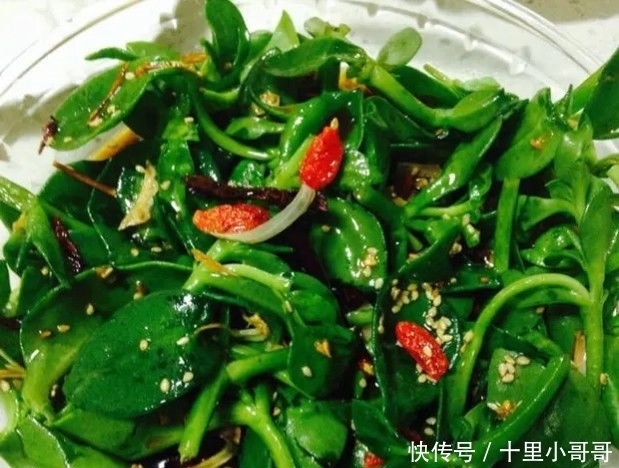  夏天|适合夏天吃的5道凉拌菜,清爽开胃又下饭,值得收藏