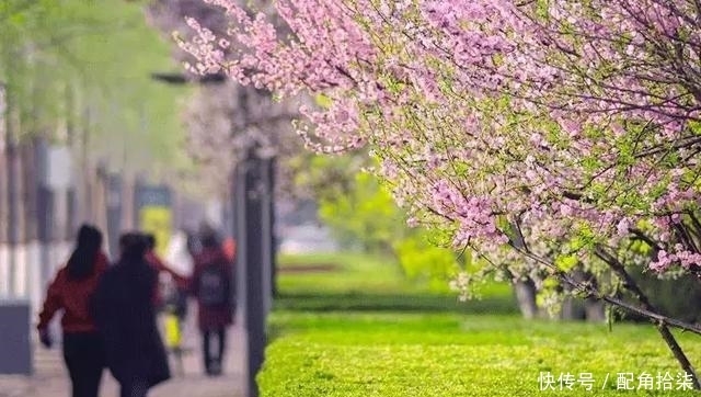 祖先|清明为什么要祭祖?这是我听过最好的答案