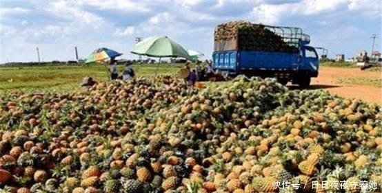 中国|菲律宾发生了什么事?菲民众请求中国帮助,并声称:只有中国能帮