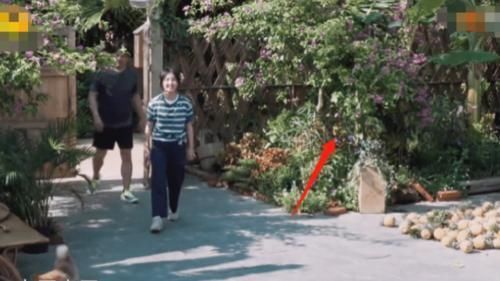 出卖|《向往4》继黄磊做饭曝造假后,再被这堵墙给出卖节目组全打码