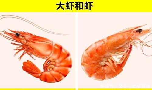 毒蘑菇|可能常常被人们混淆弄错的11对完全不同的食物