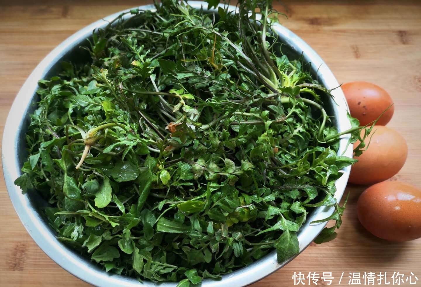 人来说|它是天然的“抗生素”,春天吃最好,清热明目,不懂吃可惜了!