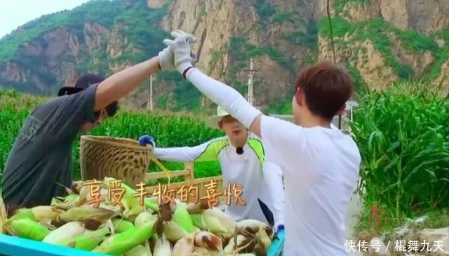  汪涵|汪涵《野生厨房》不如改名《野外就餐》更为贴切