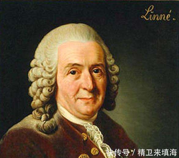  芬兰人|为什么芬兰人一直被黑，说他们不是纯种欧洲人