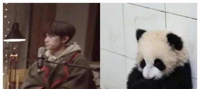 原因|终于找到千玺胖十斤的真实原因了!千玺太难了!