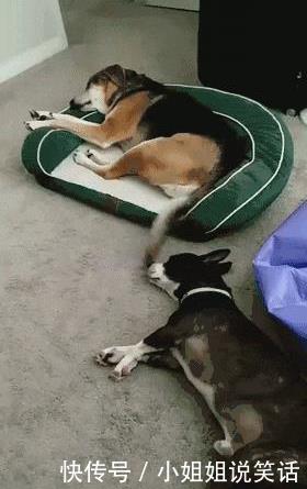 小编|“一万亿和一亿万哪个比较多?”哈哈哈哈例子太真实了