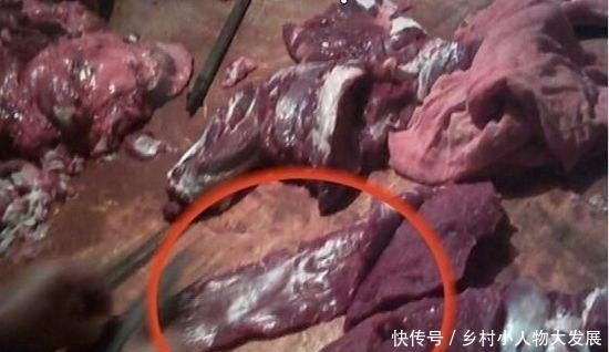 猪肉一起|买猪肉都不想买母猪,怎么避免挑到母猪肉,有几个关键点