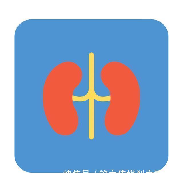 重吸收|有人喝啤酒很快要上厕所,有人喝几瓶都没尿意,哪种人身体更好